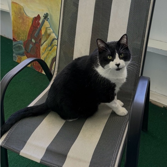 We're going live...or maybe silent…who knows, but join us for a good, fun time! - Picture 11 of 15